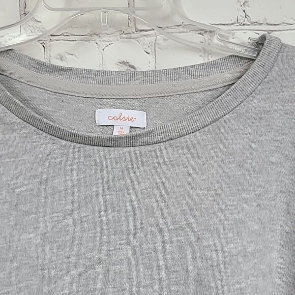 Colsie Gray Cropped Lightweight Sweatshirt Top Pullover Raw Hem Sweater Shirt - Picture 4 of 6